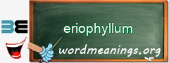 WordMeaning blackboard for eriophyllum